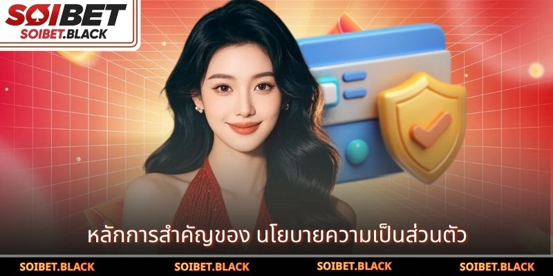 หลักการสำคัญของ นโยบายความเป็นส่วนตัว